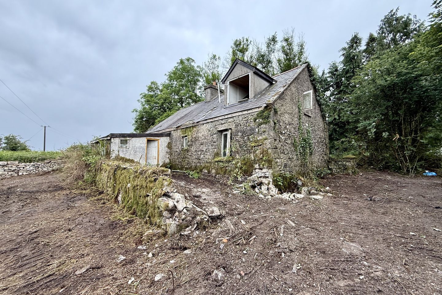 Leo, Ballyhaunis, Co. Mayo