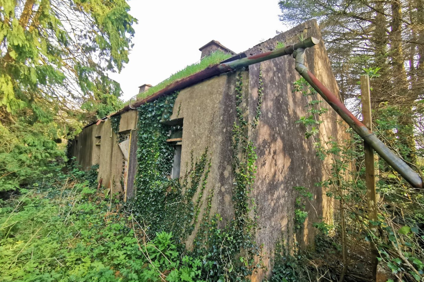 Cashelsheenaghan, Midfield, Swinford, Co. Mayo