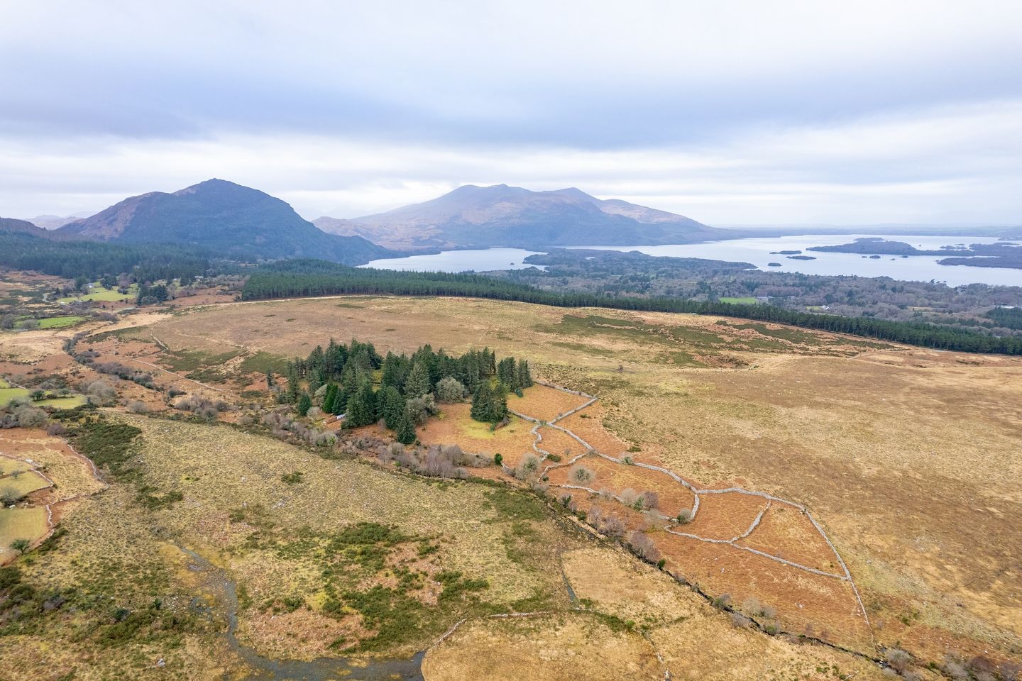 Commercial property for sale in Gortagullane, Killarney, Co. Kerry