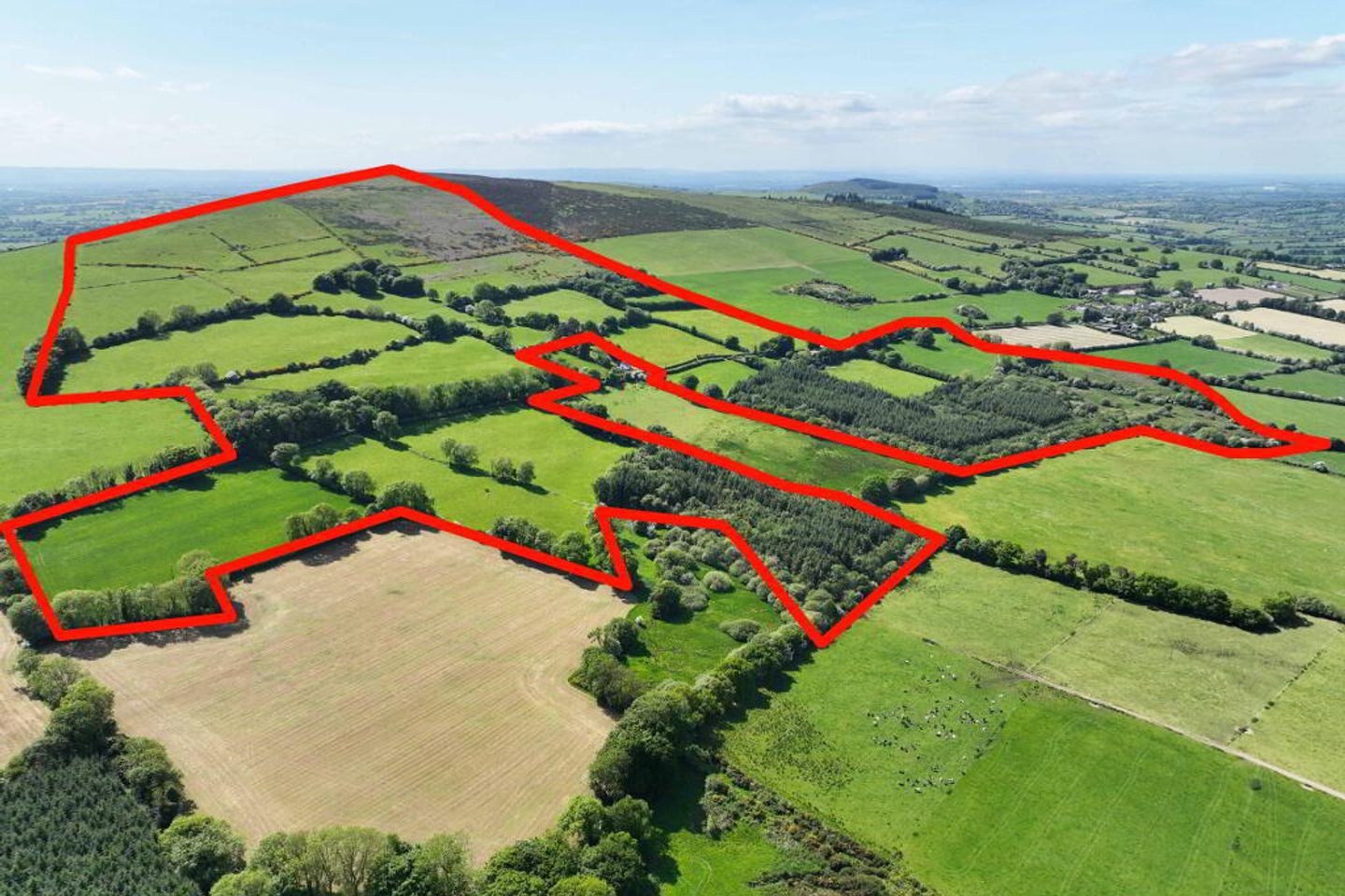 Coolnarrig, Baltinglass, Co. Wicklow, W91V8C6 is for sale on Daft.ie