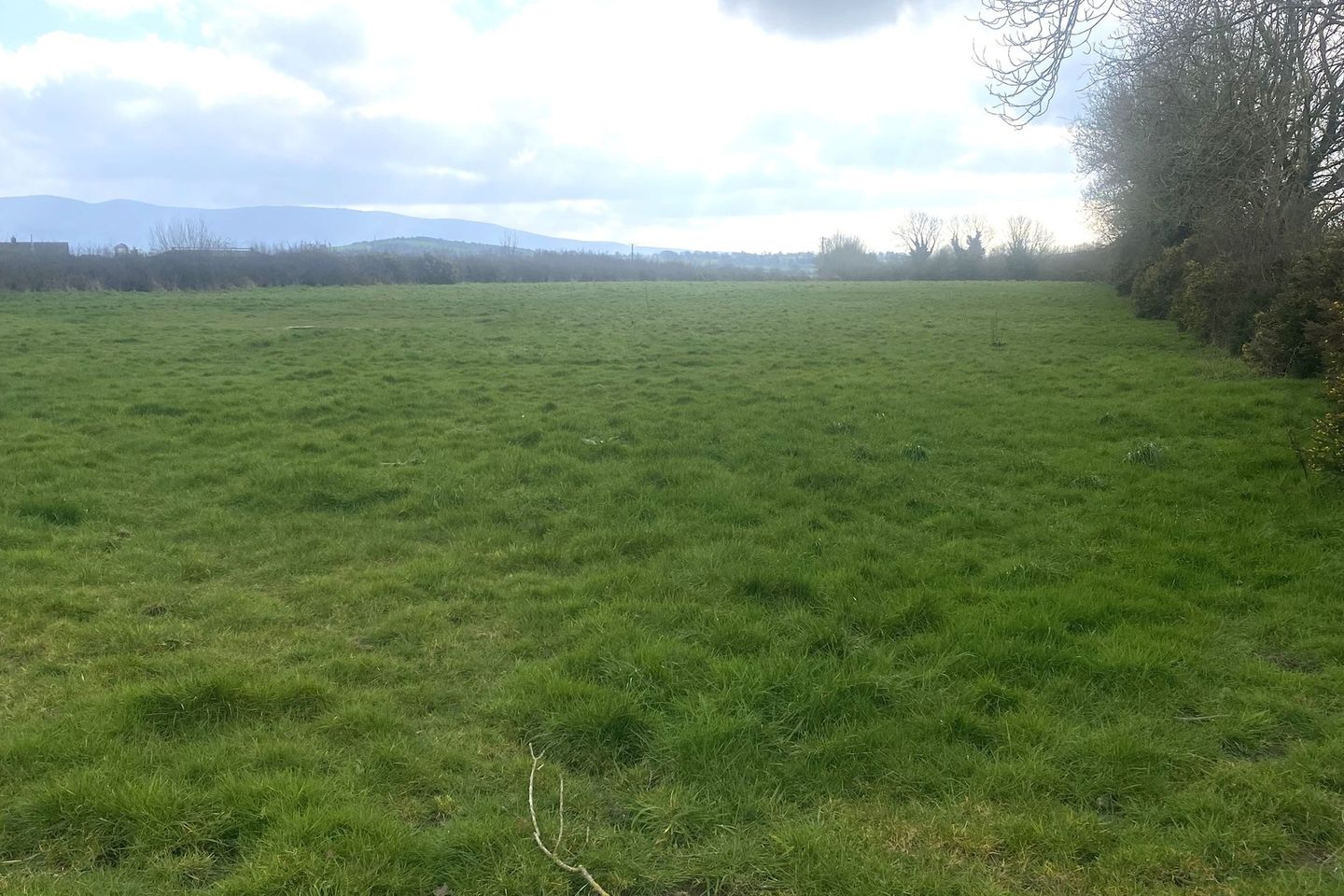 Commercial property for sale in Kilcoltrim, Borris, Co. Carlow