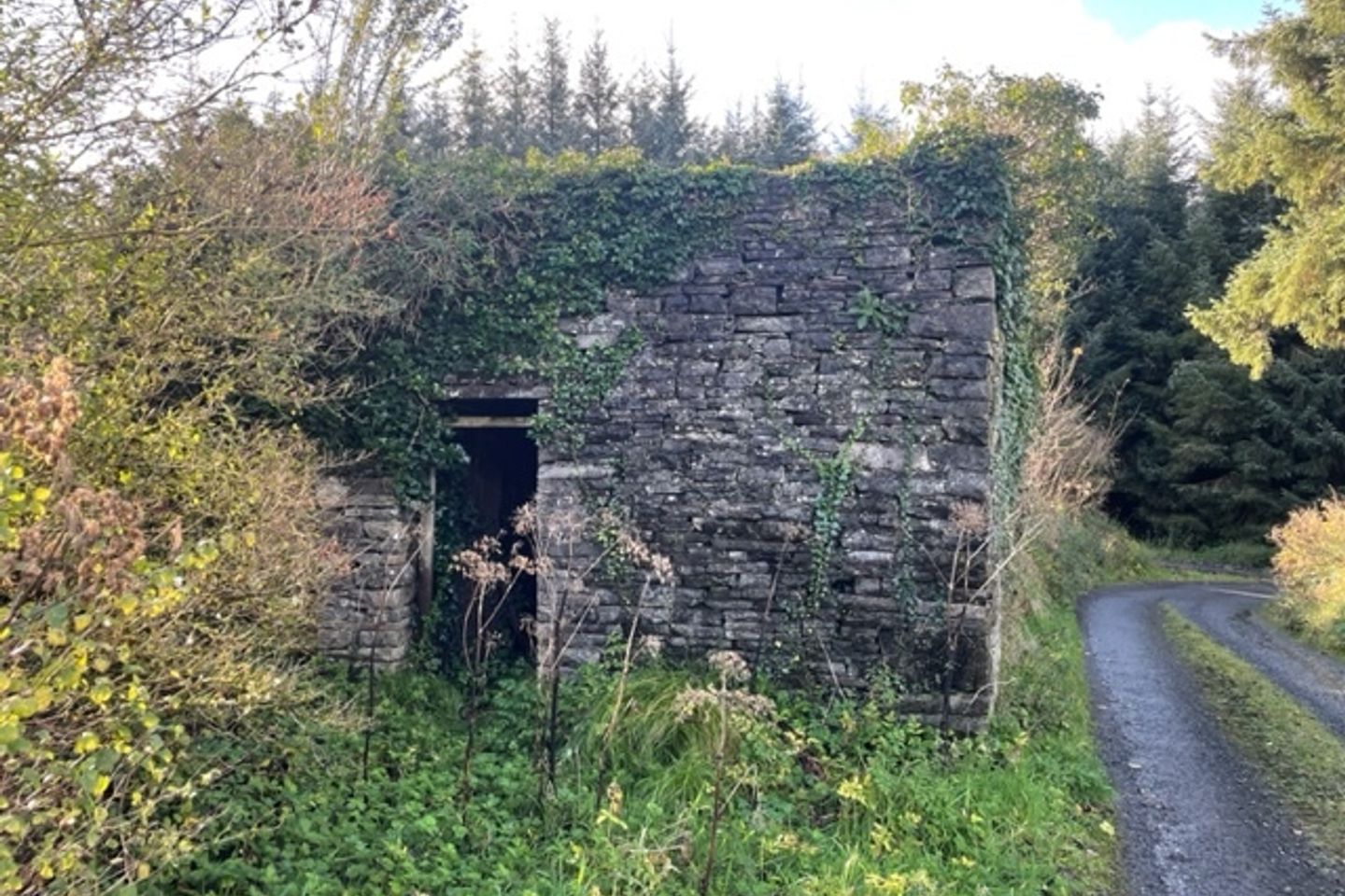 Loughnagowan, Corofin, Corofin, Co. Clare, V95HY00 is for sale on Daft.ie