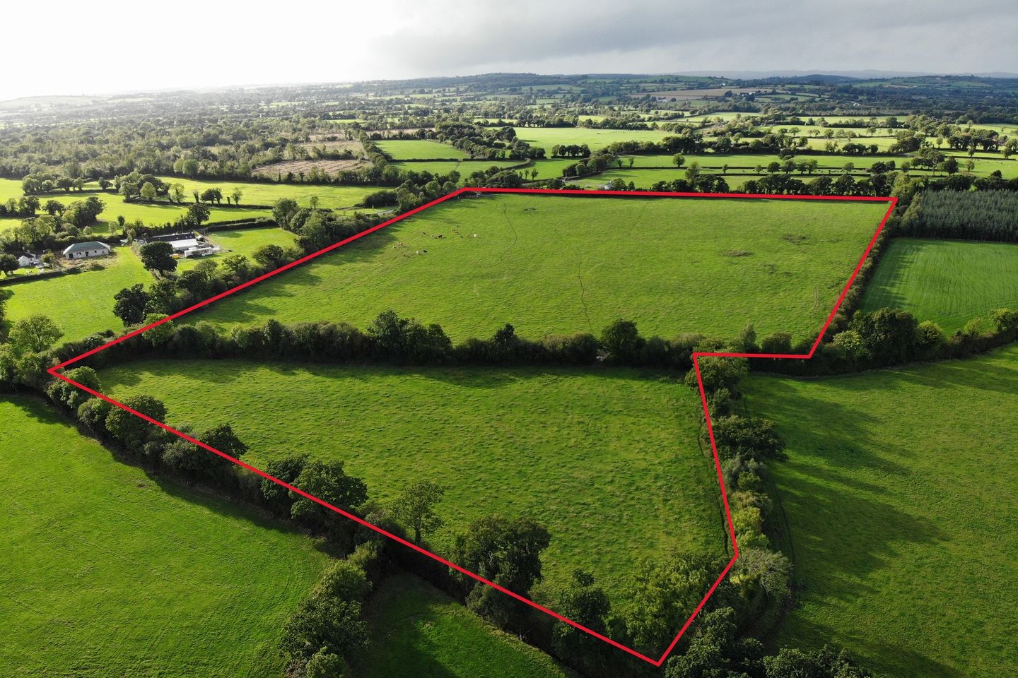 Lismolin, Mullinahone, Co. Tipperary