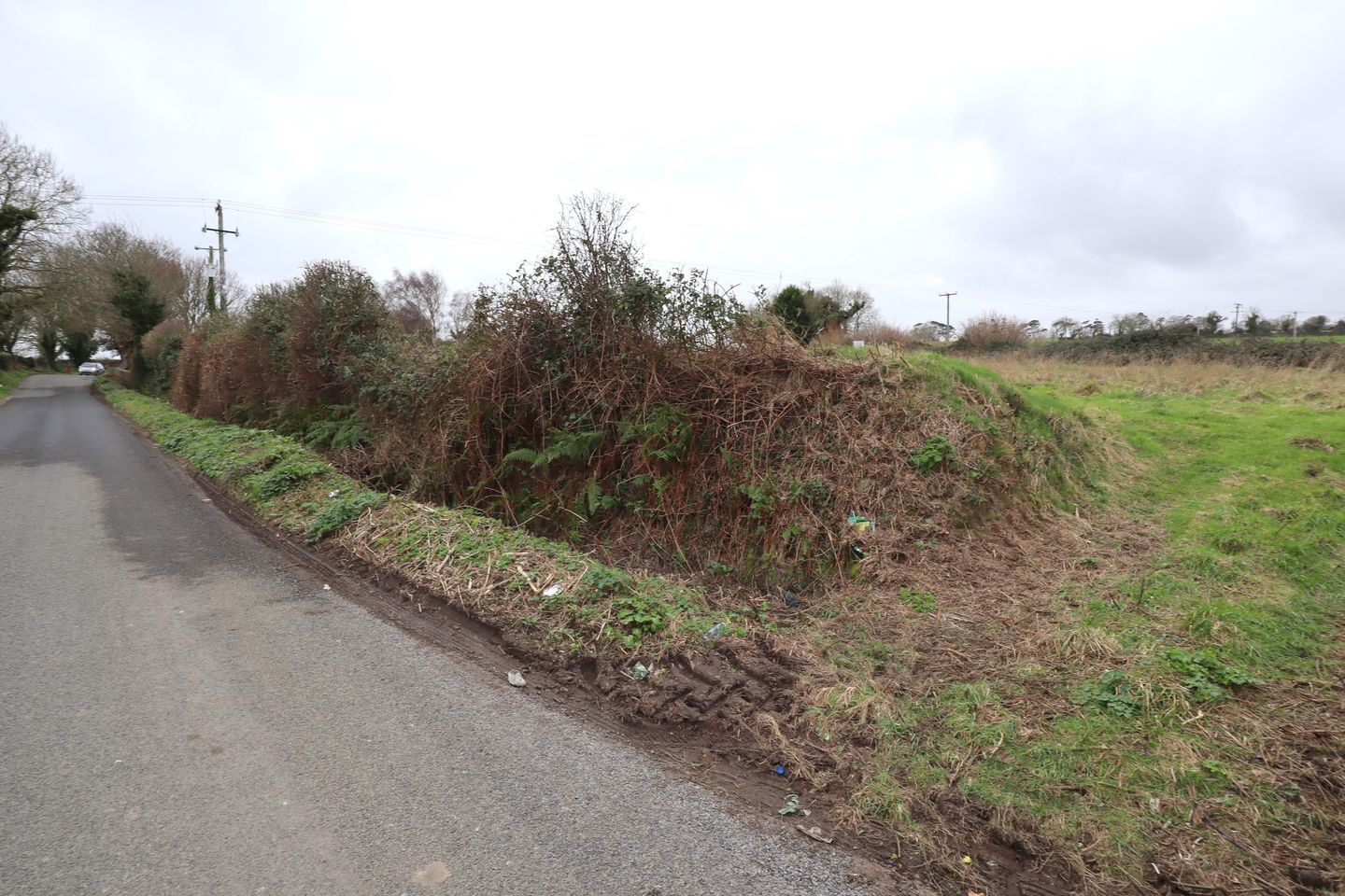 Commercial property for sale in Lisdornan, Julianstown, Co. Meath