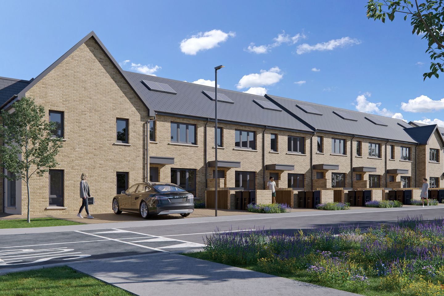 The Hazel, Farranshock Park, The Hazel, Farranshock Park, Farranshock