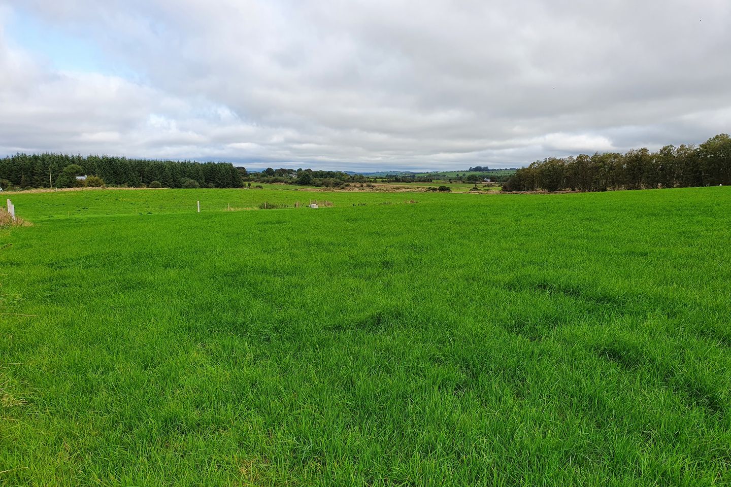 Newcestown, Bandon, Co. Cork