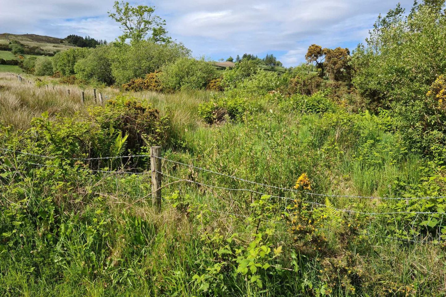 Drumacloughan, Milford, Co. Donegal, F92DF55 is for sale on Daft.ie