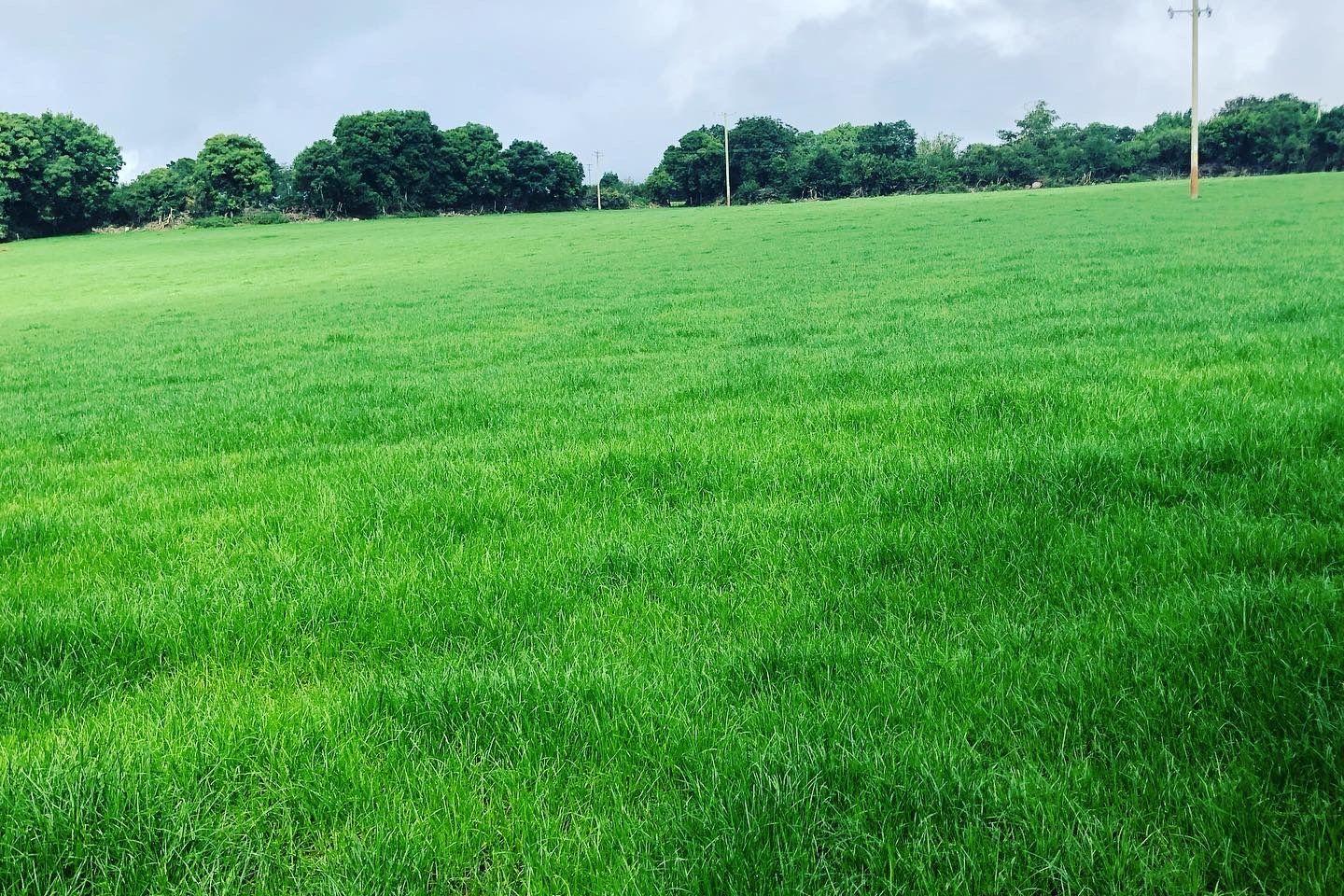 ComeraghHouse Townsland Mahon Bridge Kilmacthomas, Kilmacthomas, Co