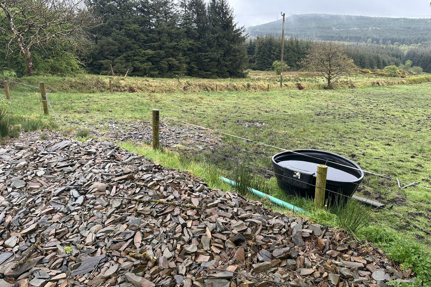 Commercial property for sale in Rooskagh West, Carrigkerry, Co