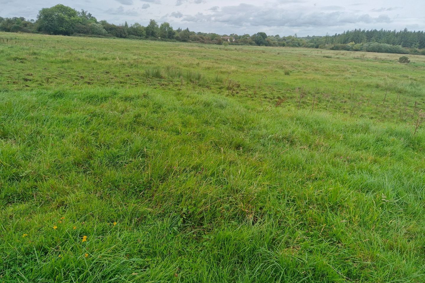 Moher, Ballinasloe, Co. Galway