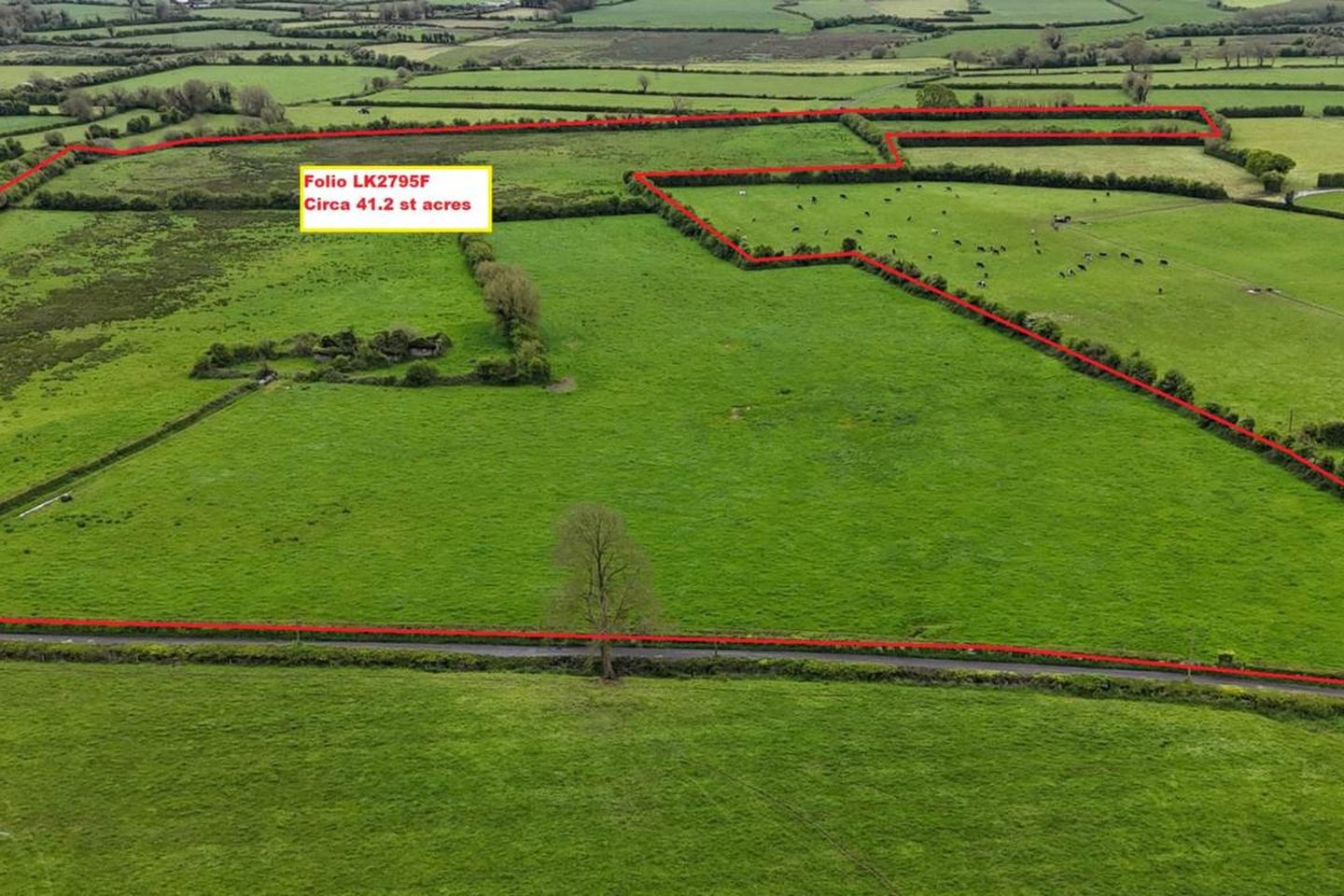 Commercial property for sale in Donaman, Croom, Co. Limerick