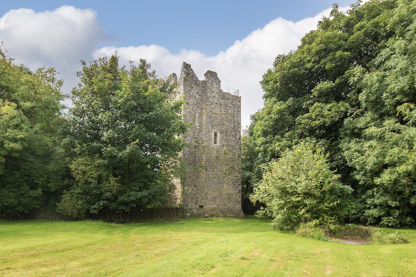 Ballintotis Castle, Ballintotis, Castlemartyr, Co. Cork, P25F436