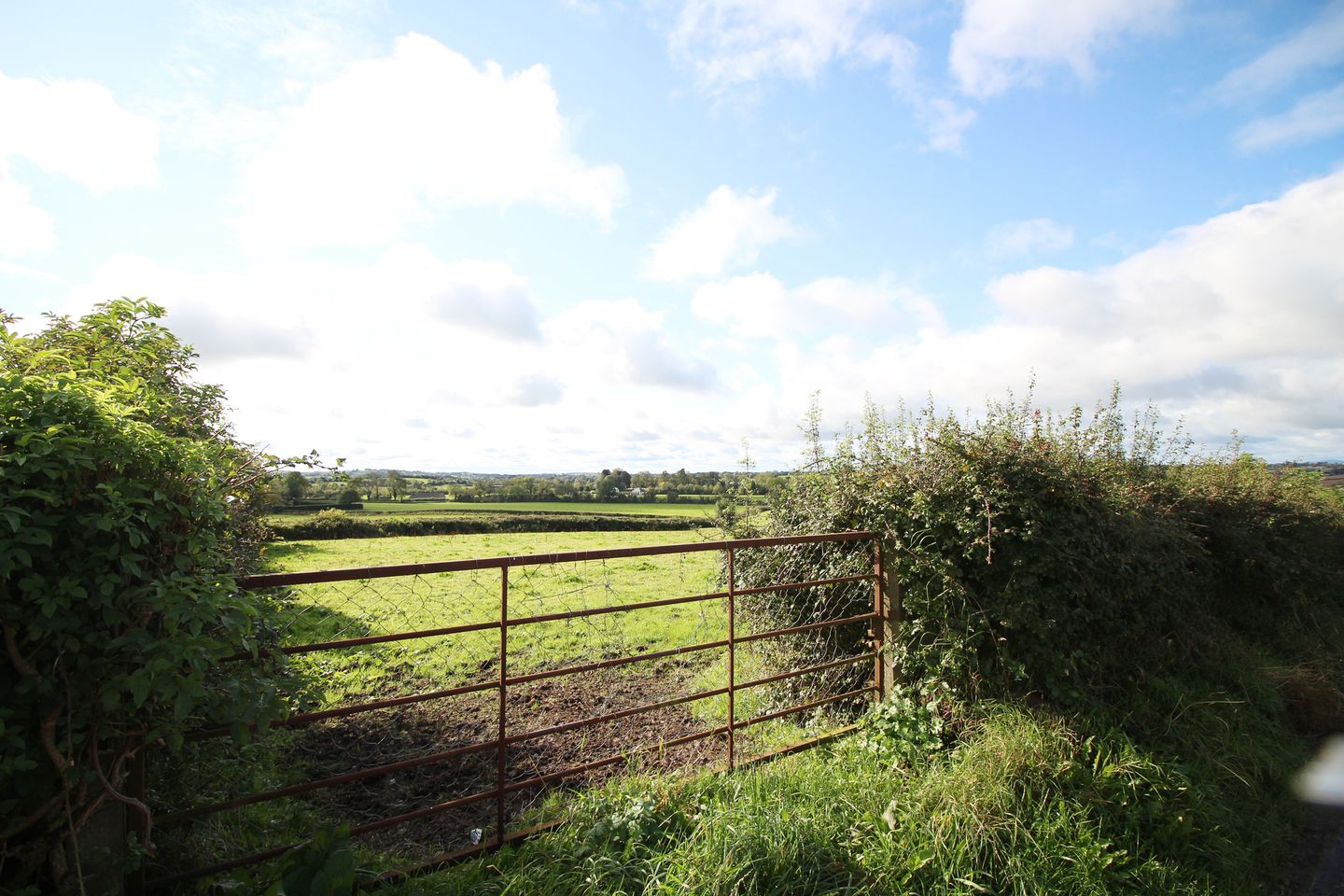 Lobinstown, Navan, Co. Meath is for sale on Daft.ie