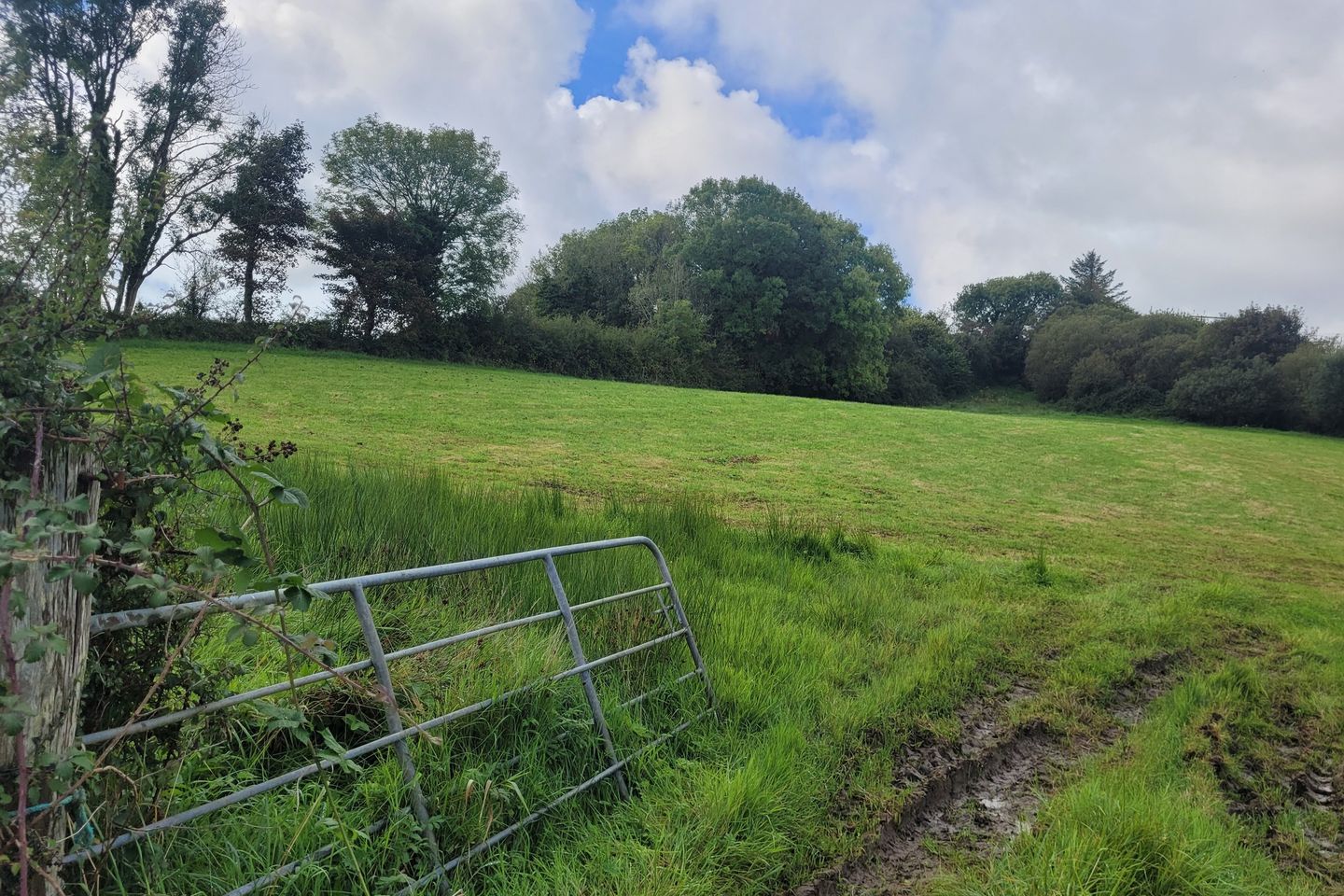 Commercial property for sale in Ardfarna, Bundoran, Co. Donegal