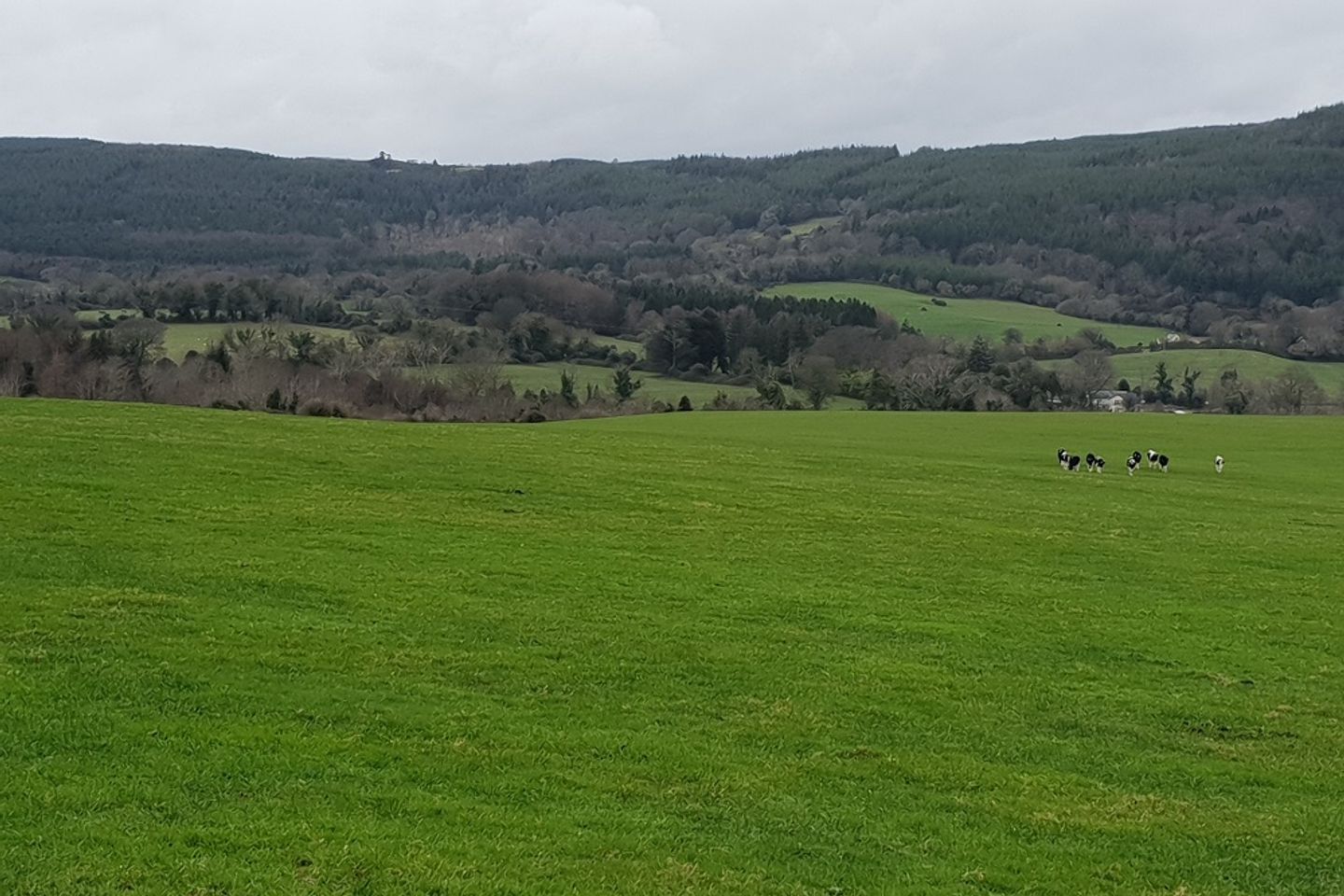 Site 0.75 acre Ballylusk, Ashford, Co. Wicklow