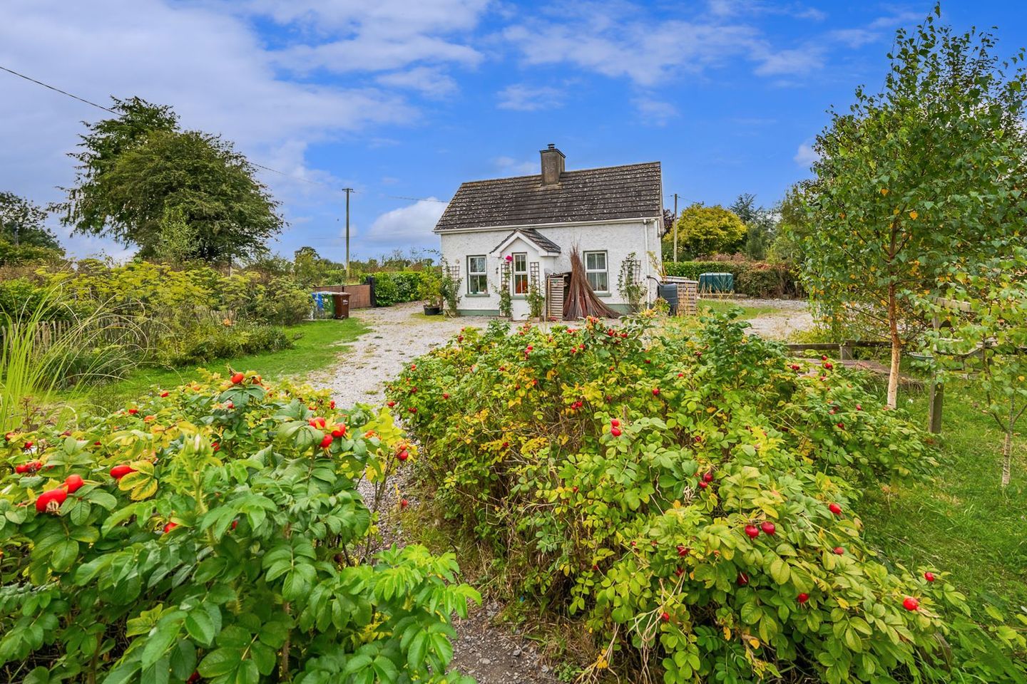 Clonboo, Templetuohy, Clonmore, Co. Tipperary, E41VY10