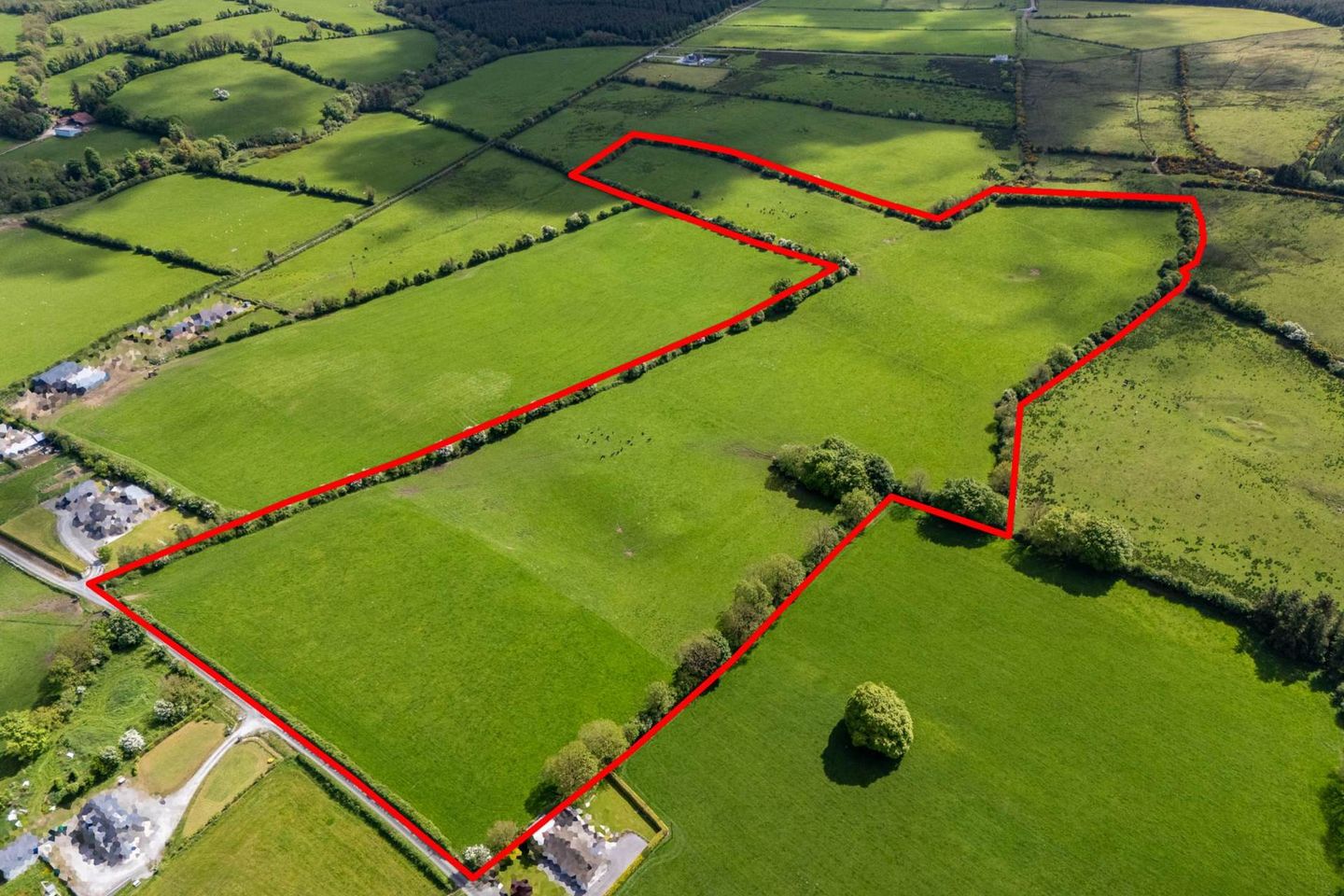 Commercial property for sale in Sheskin, Cadamstown, Co. Offaly