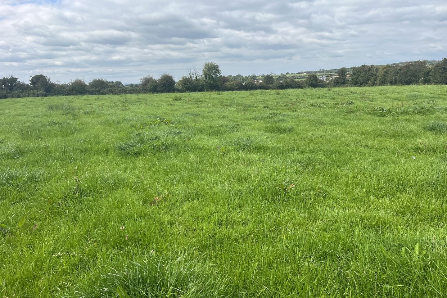 Belleville, Monivea, Co. Galway