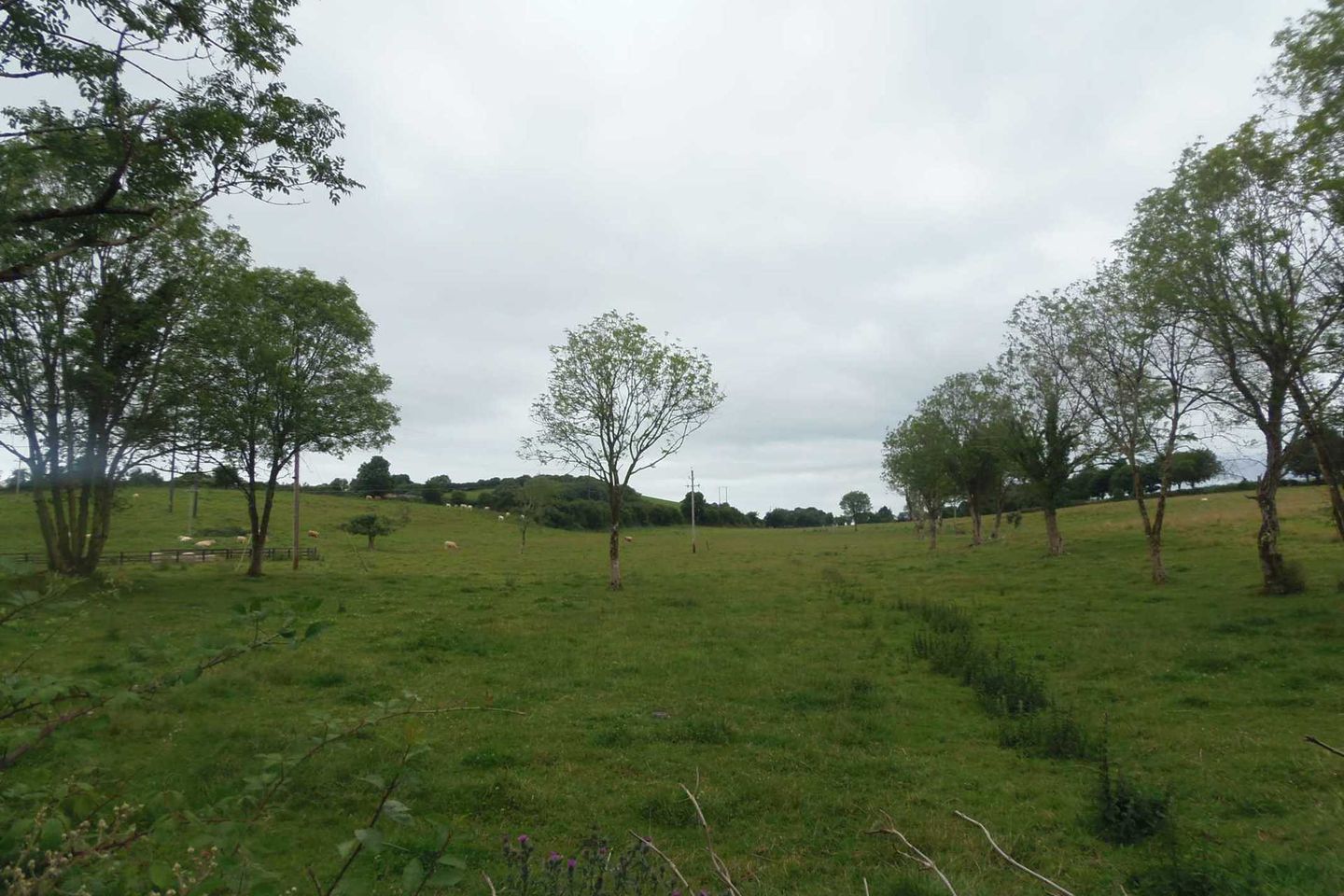 Commercial property for sale in Barefield, Ennis, Co. Clare