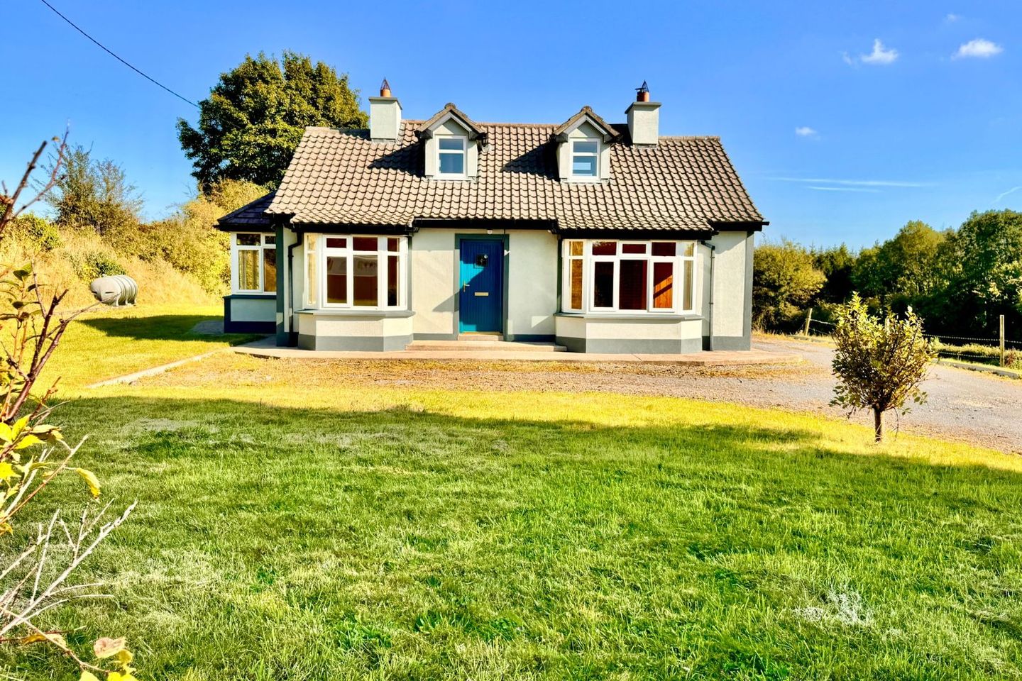 Ardborra, Drumraney, Tang, Co. Westmeath, N37E129