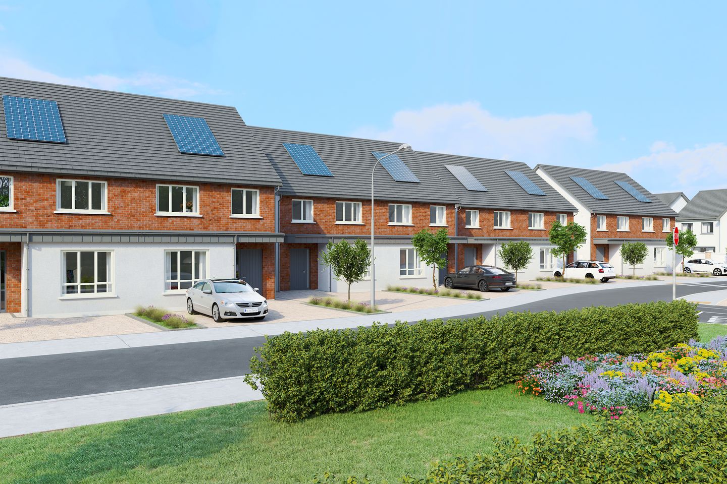 The Beech , Cluain Glasan, The Beech , Cluain Glasan, Cluain Glasan