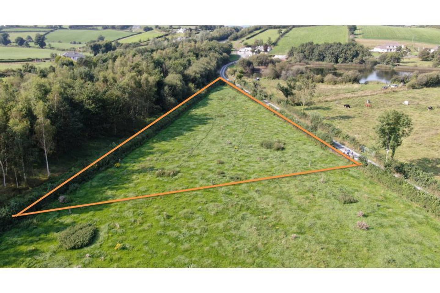 Commercial property for sale in Drumturk, Carrickmacross, Co. Monaghan