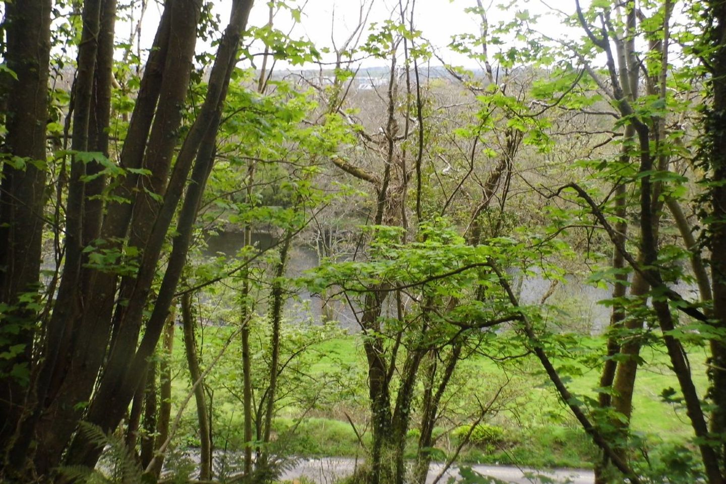 Commercial property for sale in Coolyduff, Inniscarra, Cork, Inniscarra