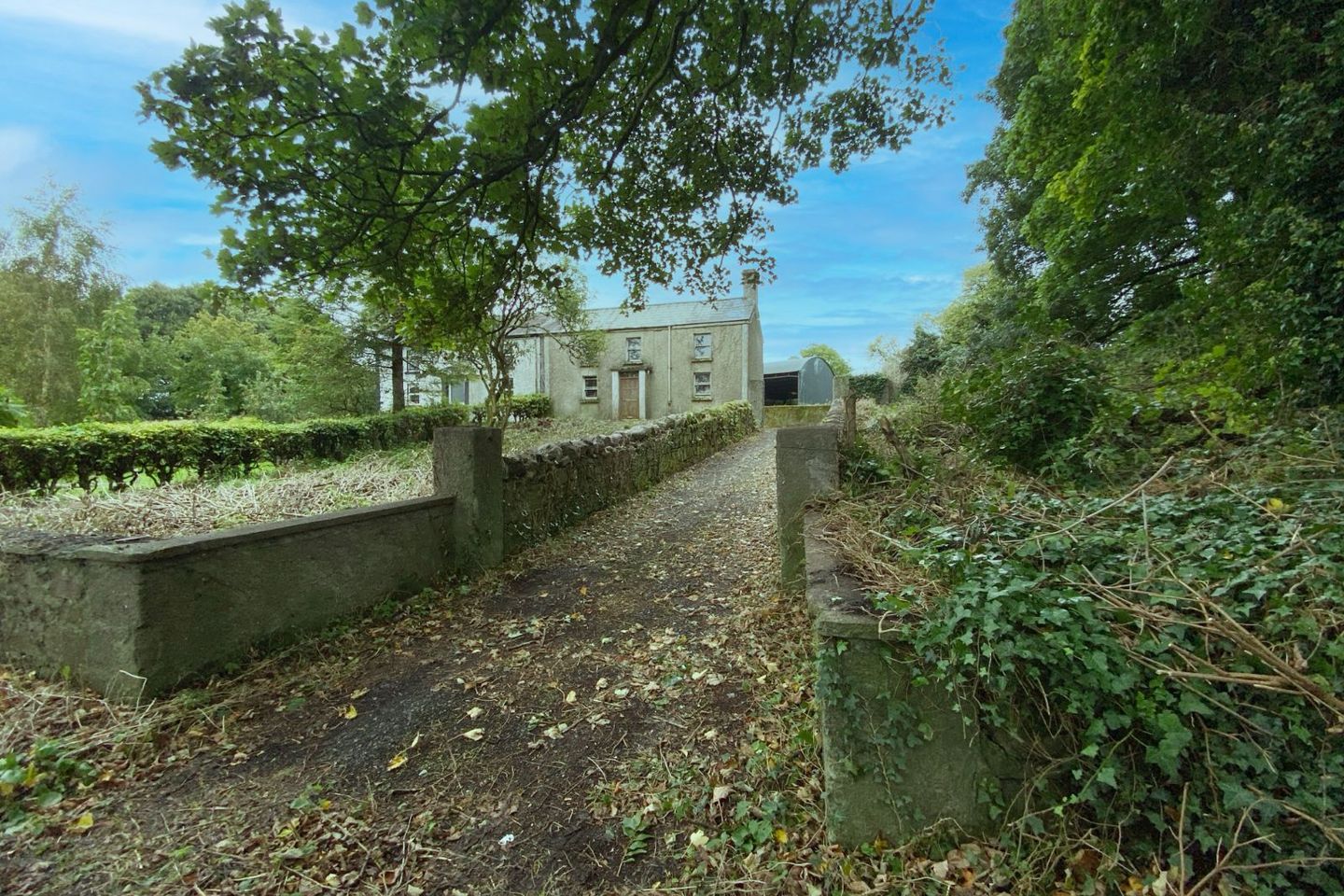 Bellaney, Oldcastle, Oldcastle, Co. Meath, A82WC65