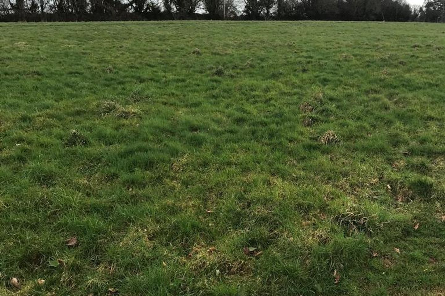 Commercial property for sale in C.16 Acres Of Land, Long Acre