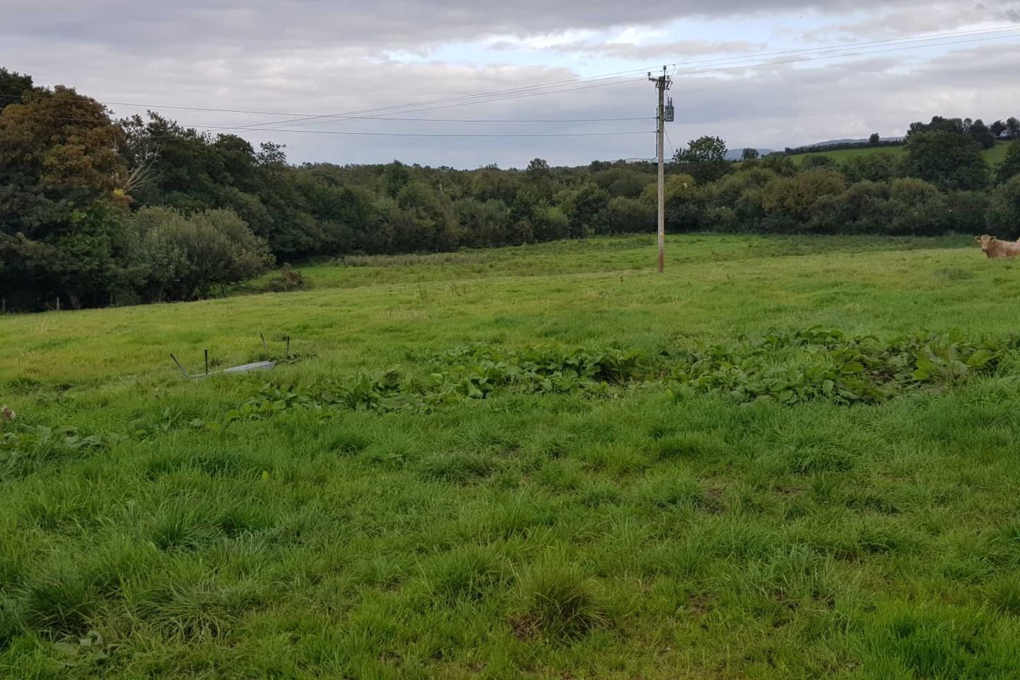 Ballyboy, Scariff, Scarriff, Co. Clare is for sale on Daft.ie