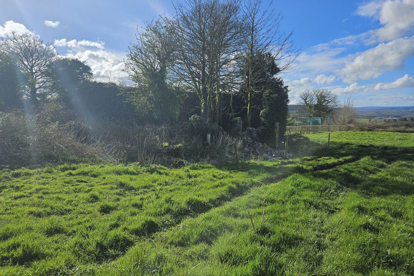 Liscahane, Millstreet, Co. Cork is for sale on Daft.ie