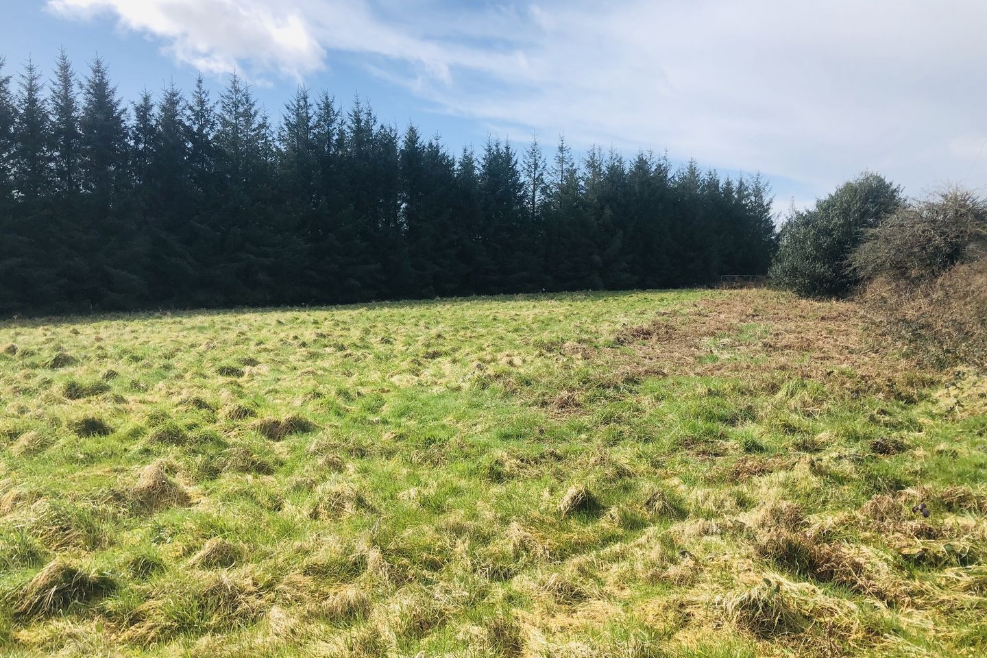 Kilgabriel, Clashmore, Co. Waterford is for sale on Daft.ie