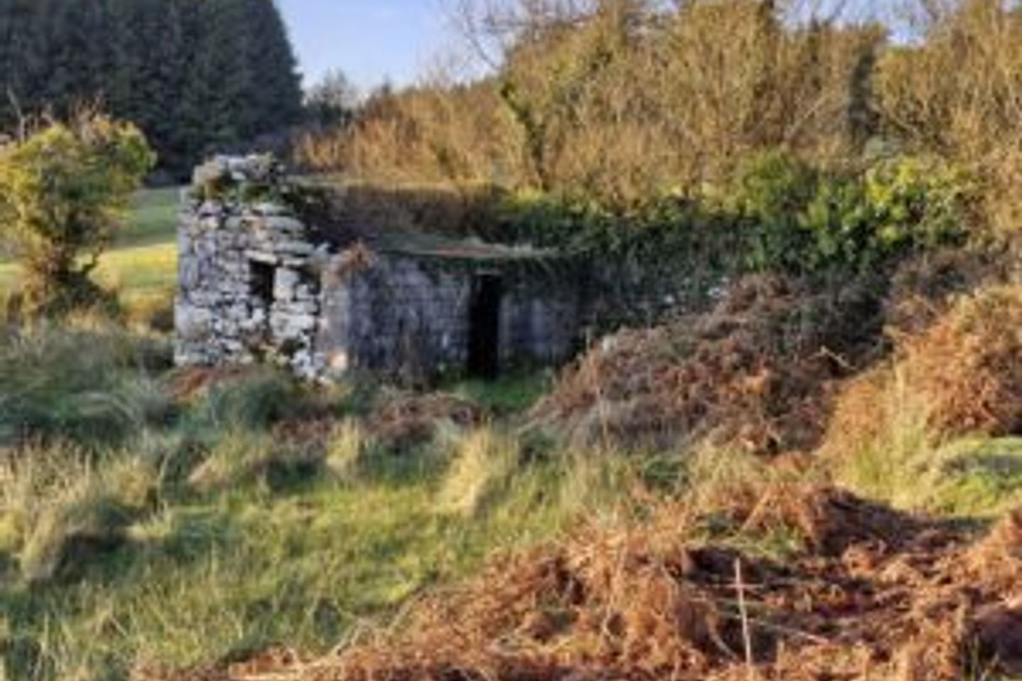 Corrakyle Caher, Corrakyle, Co. Clare
