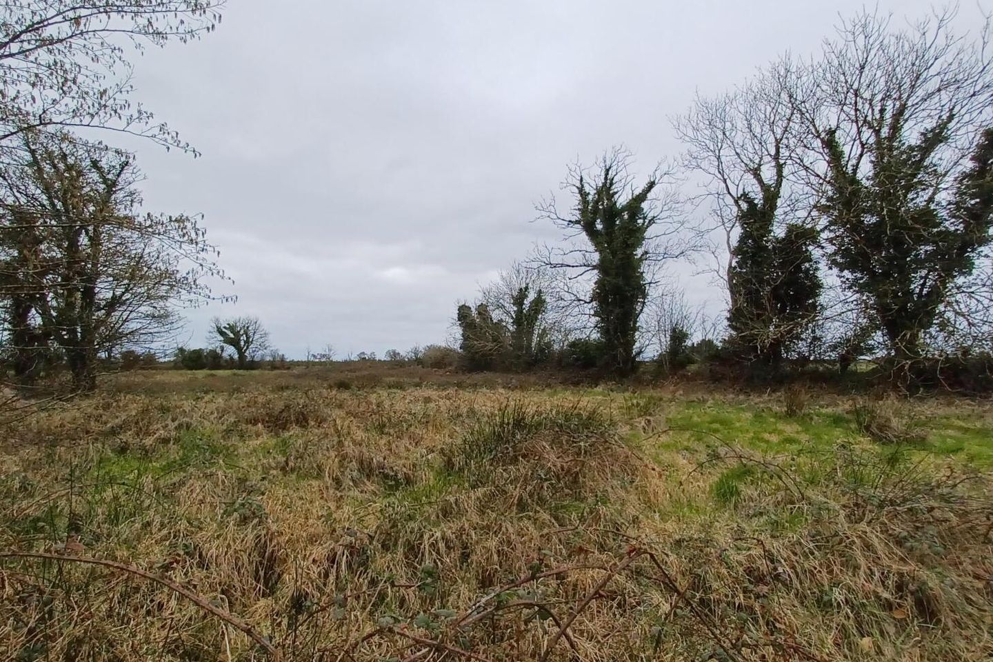 .32ha / .79ac Site, Kinreask, Gurteen, Ballinasloe, Galway, Mountbellew