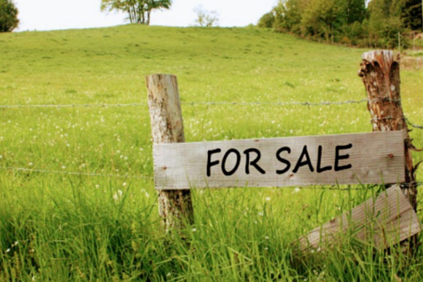 Coolagarranroe, Cahir, Co. Tipperary, E21E221