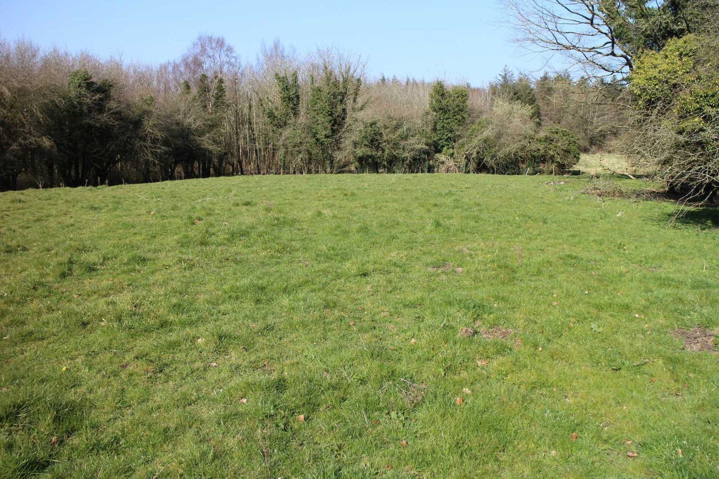 Tyrrellspass, Killavally, Co. Westmeath is for sale on Daft.ie