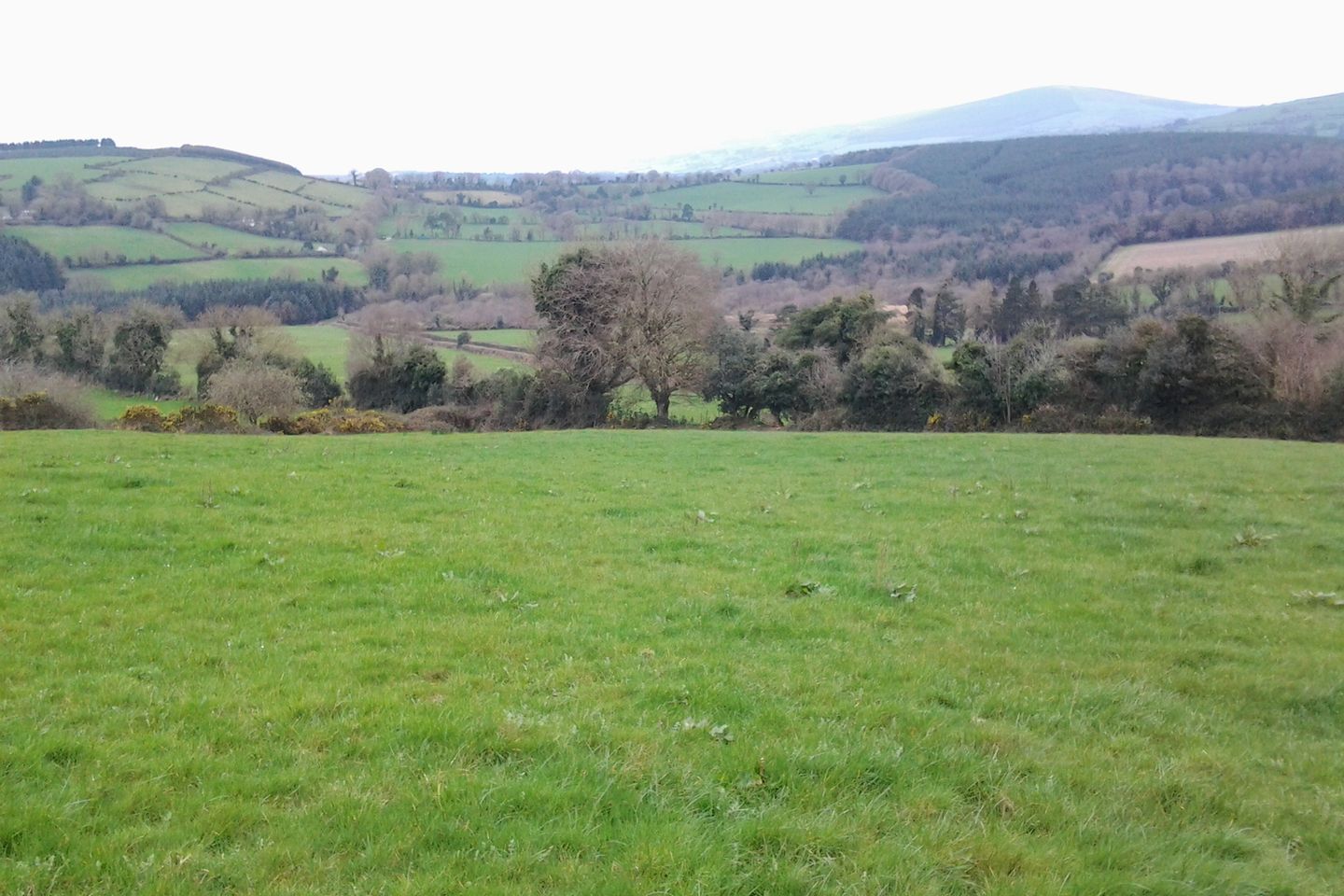 Toberpatrick, Tinahely, Co. Wicklow
