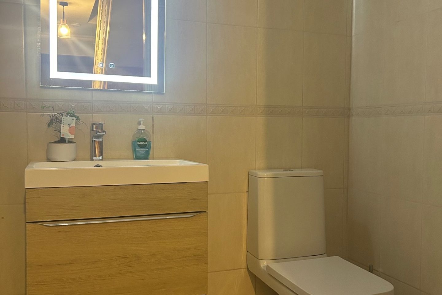 Dromsally Woods,Cappamore,Limerick, Cappamore, Co. Limerick