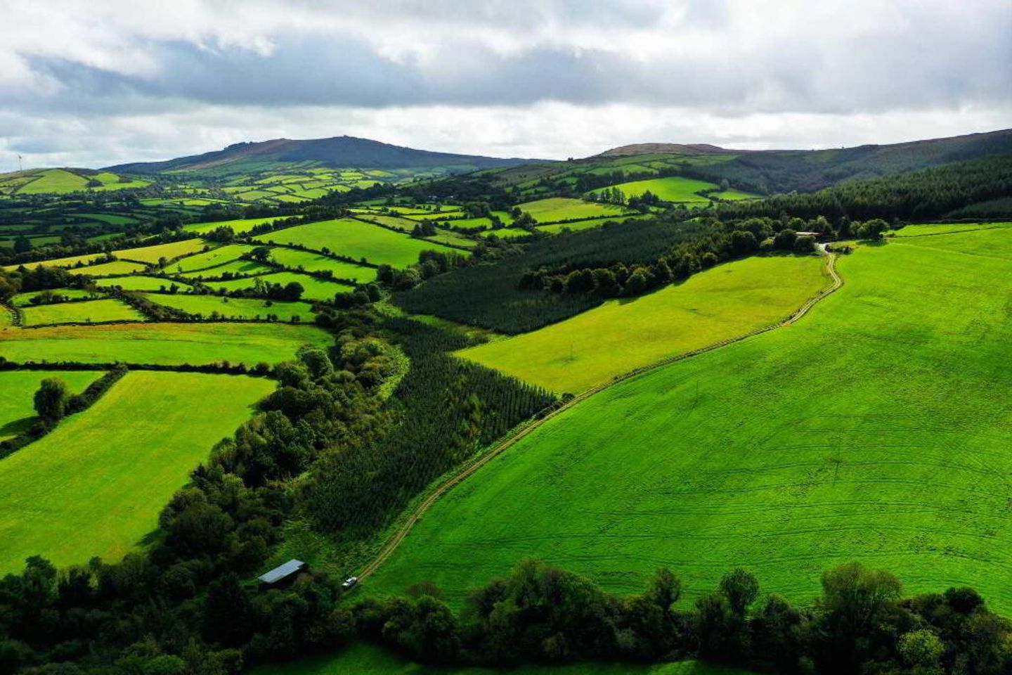 Lisnageenly, Dolla, Co. Tipperary