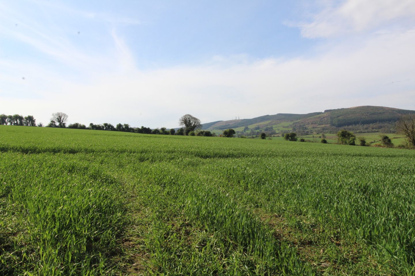 Lackendarragh, Lombardstown, Co. Cork is for sale on Daft.ie