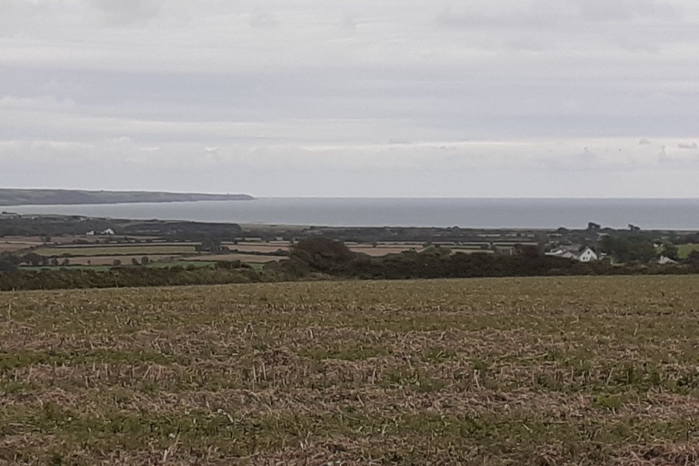 Commercial property for sale in ballycrenane, Ballycotton, Co. Cork