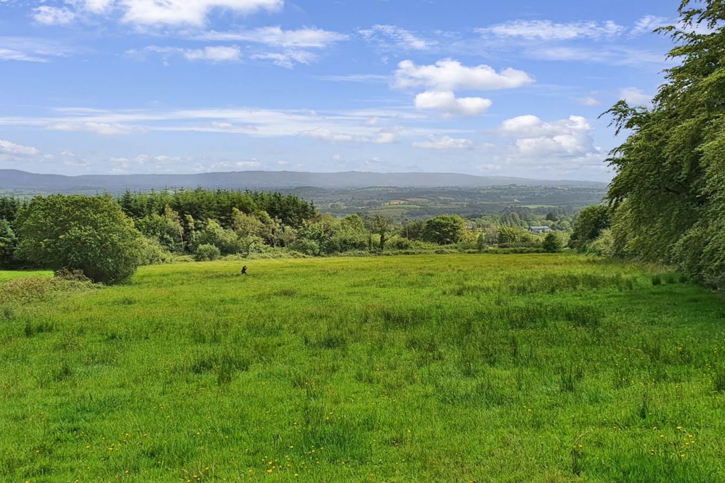 Glendree, Feakle, Co. Clare