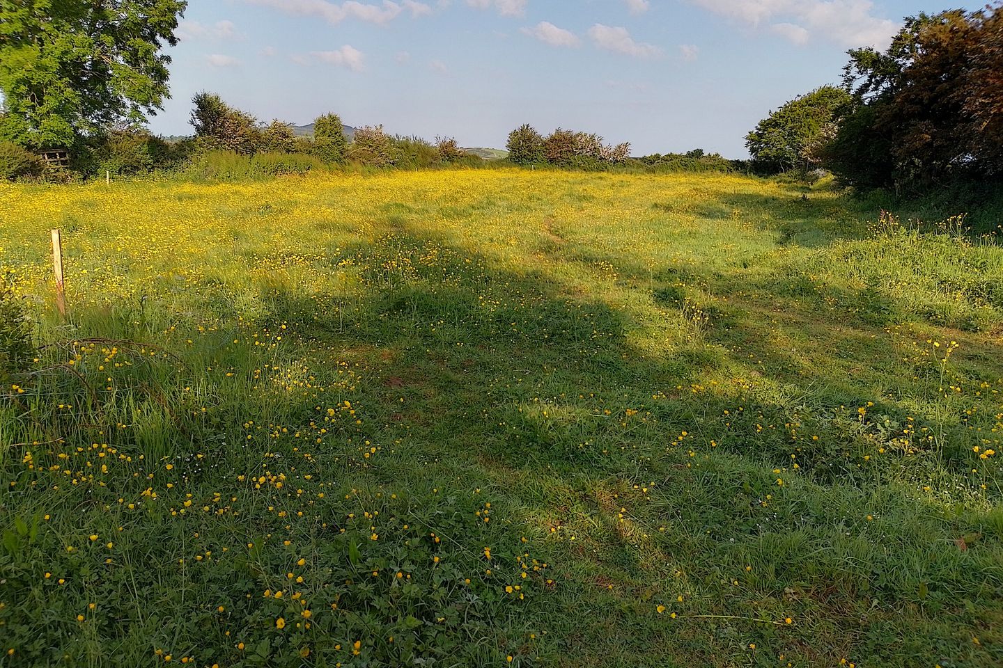 Banogue, Croom, Co. Limerick is for sale on Daft.ie