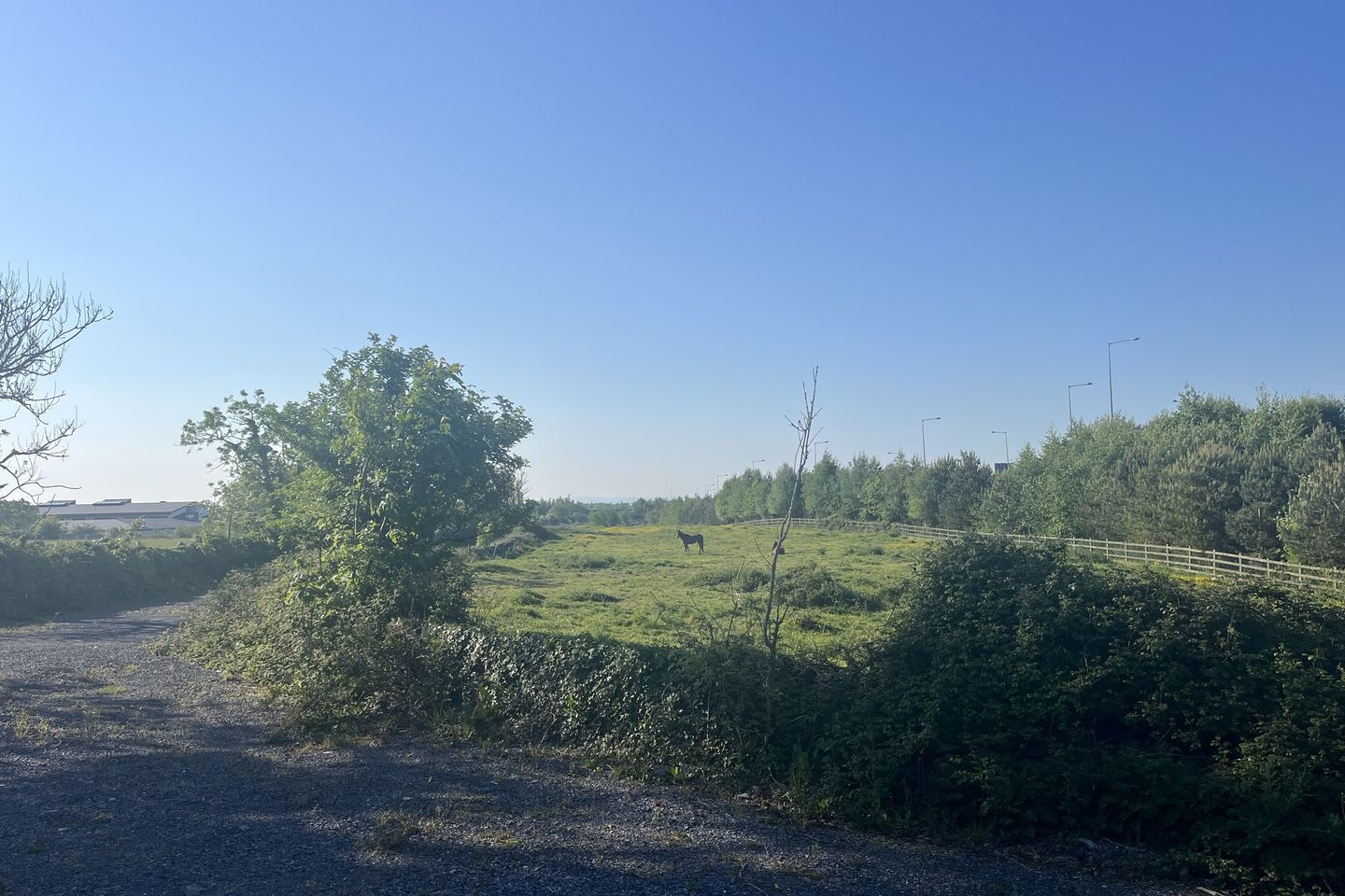 Newford , Athenry, Co. Galway