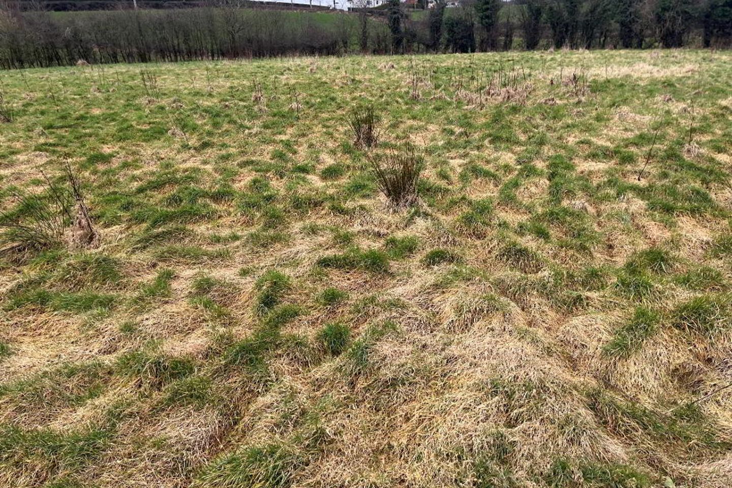 Tullyraine, Shantonagh, Co. Monaghan