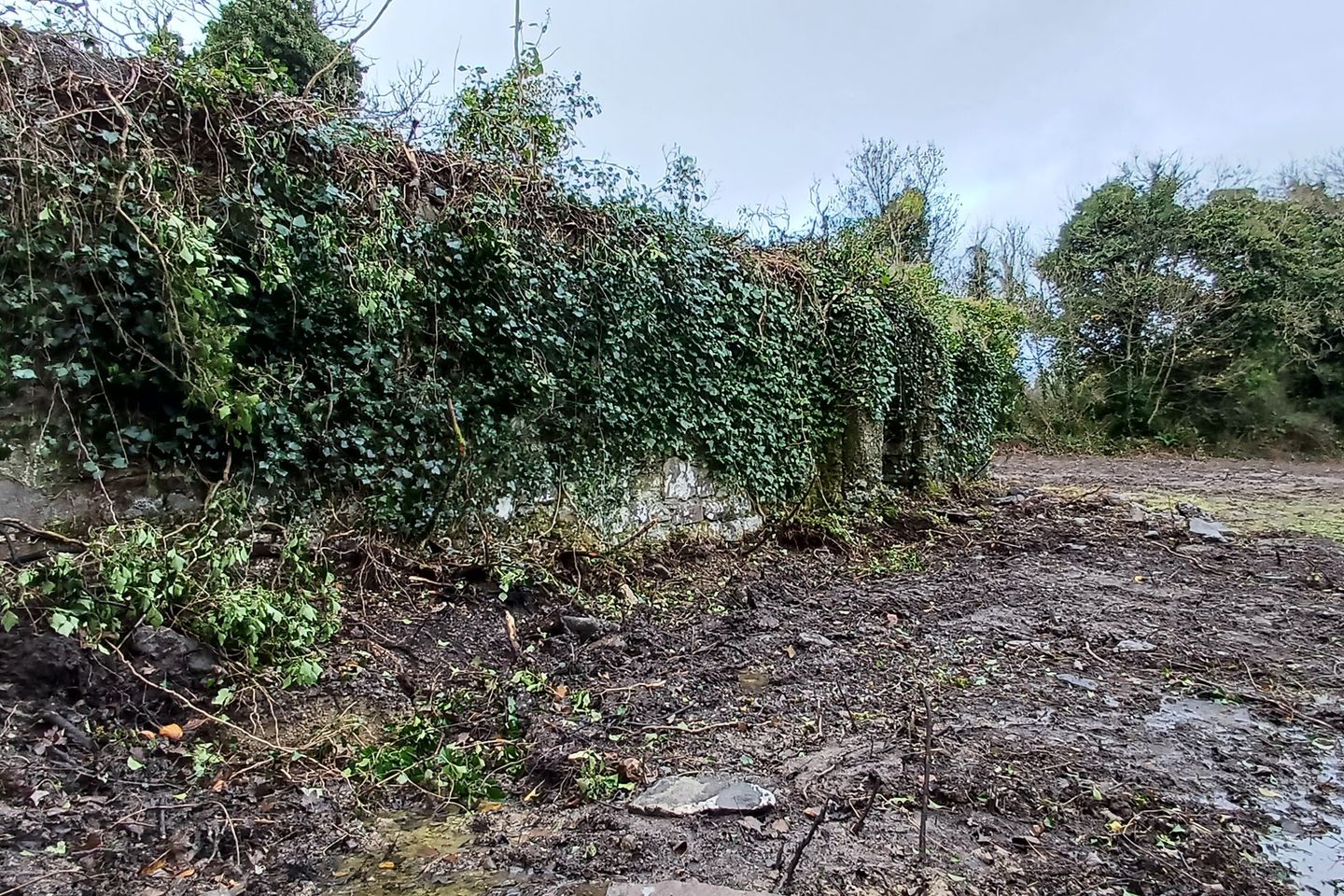 Ballywillan, Granard, Co. Longford is for sale on Daft.ie