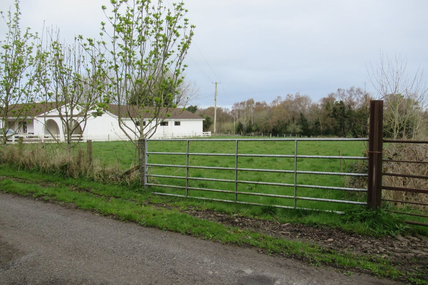 Burnetts Wood