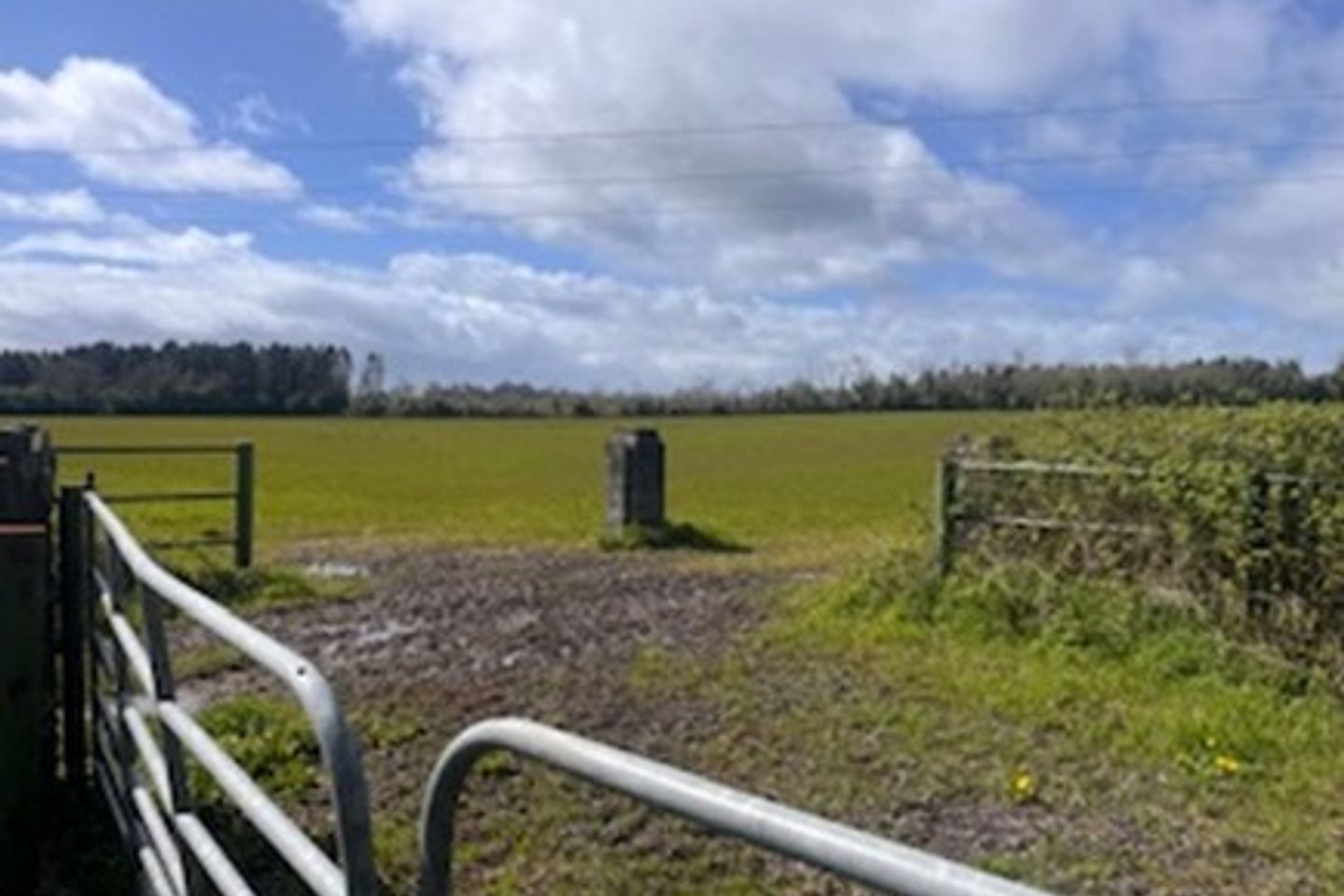 Commercial property for rent in 10.4 Acres of Grazing lands (or tillage