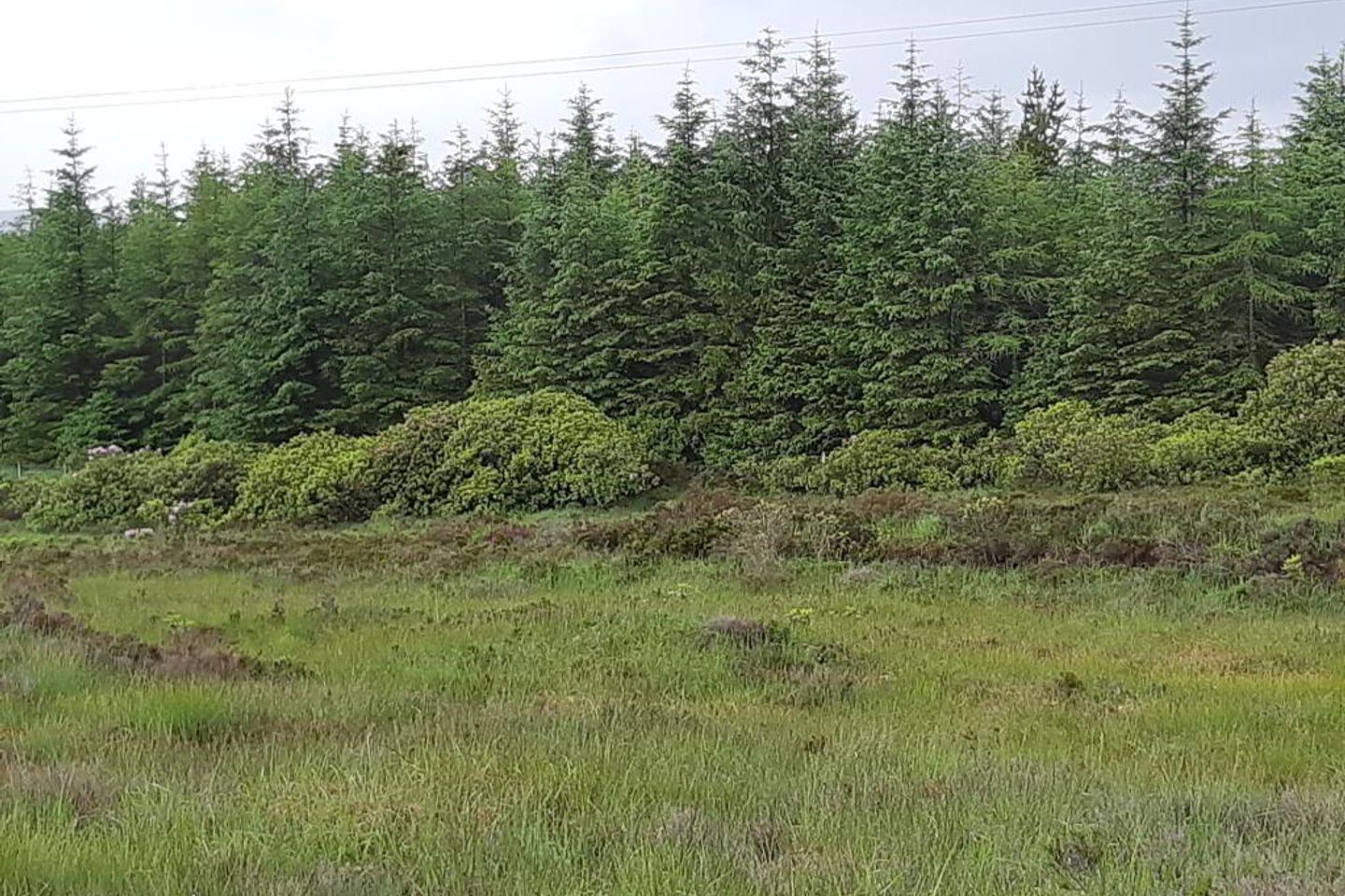 Forestry Lots,Ballintra Area, Ballintra, Co. Donegal