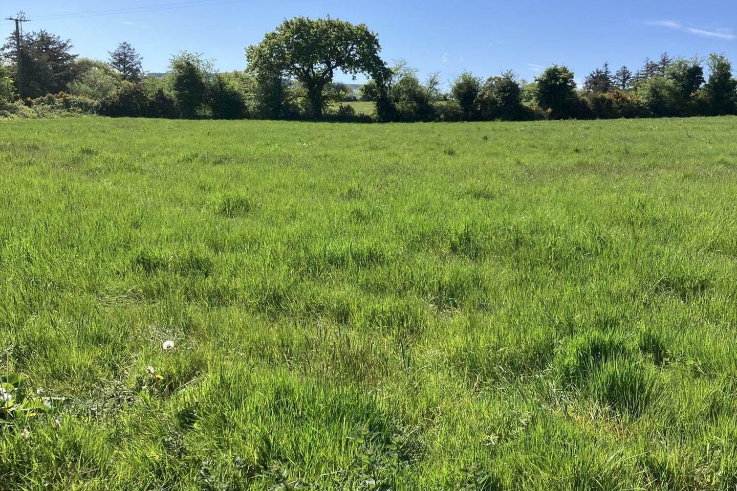 Commercial property for sale in Billeragh, Araglin, Kilworth, Co. Cork